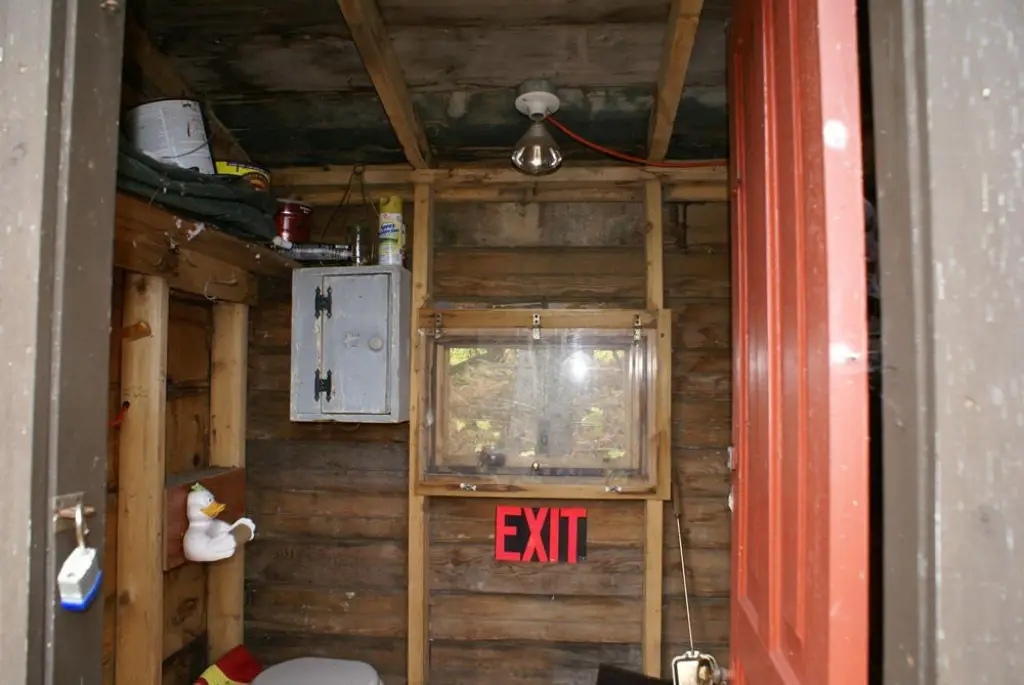 Picture 8