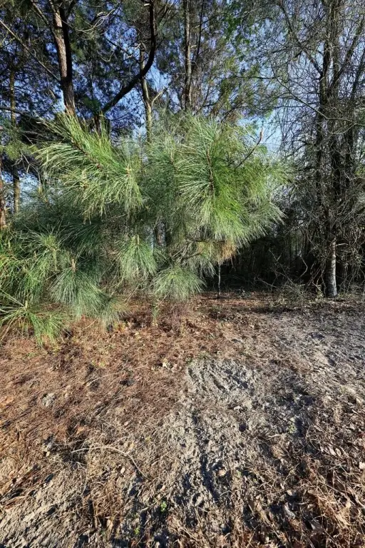 Picture 4
