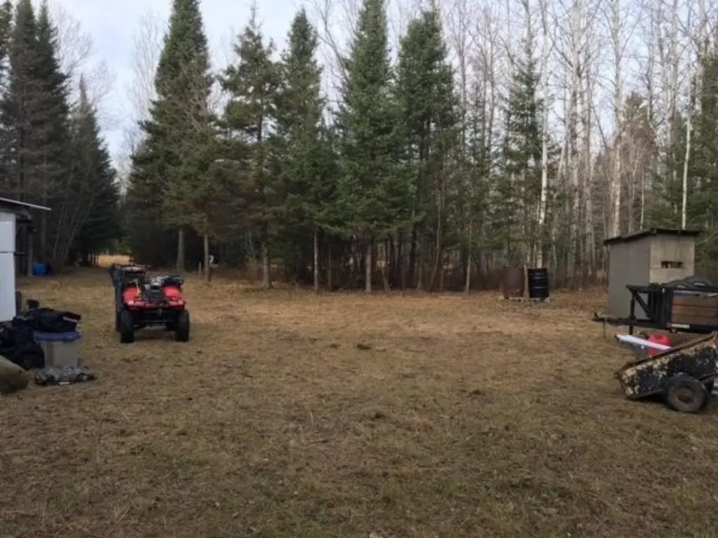 Picture 5