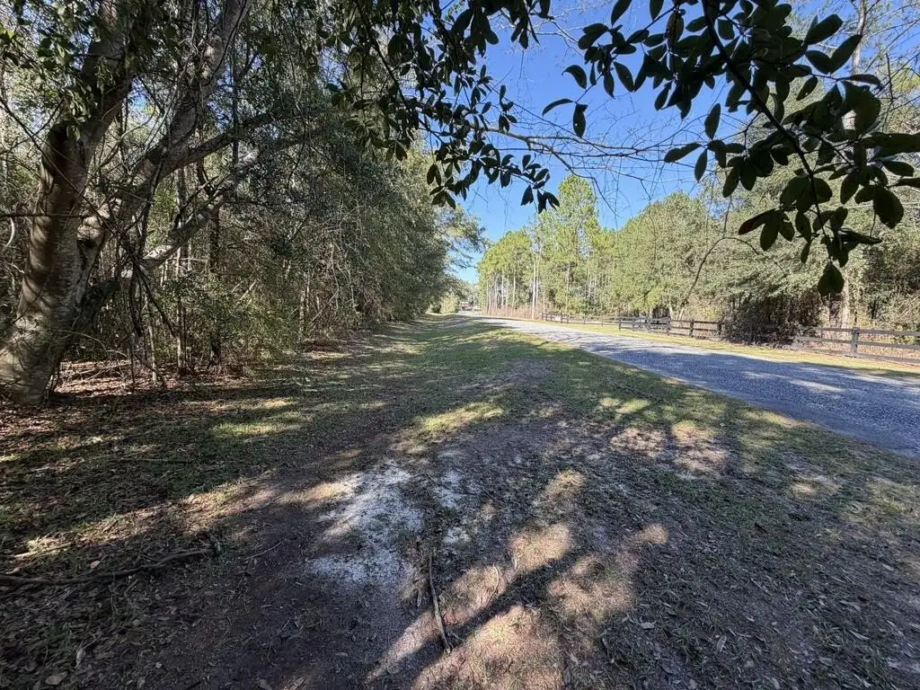 Picture 17