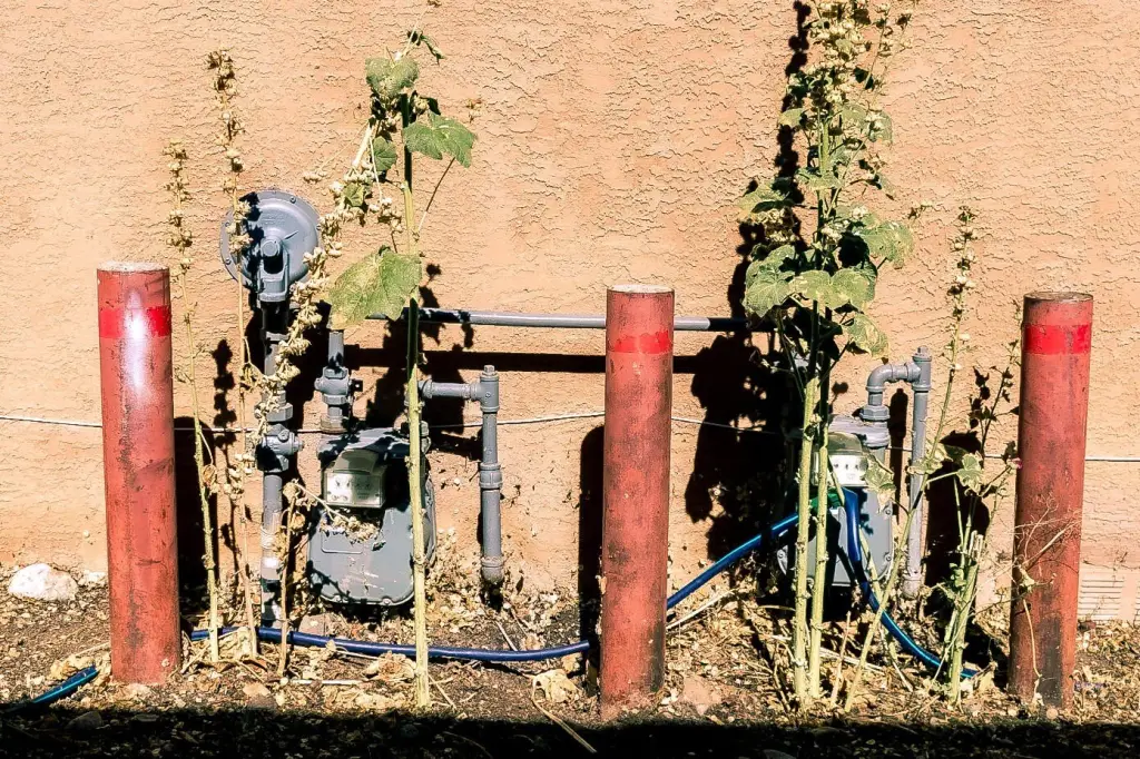 Picture 24