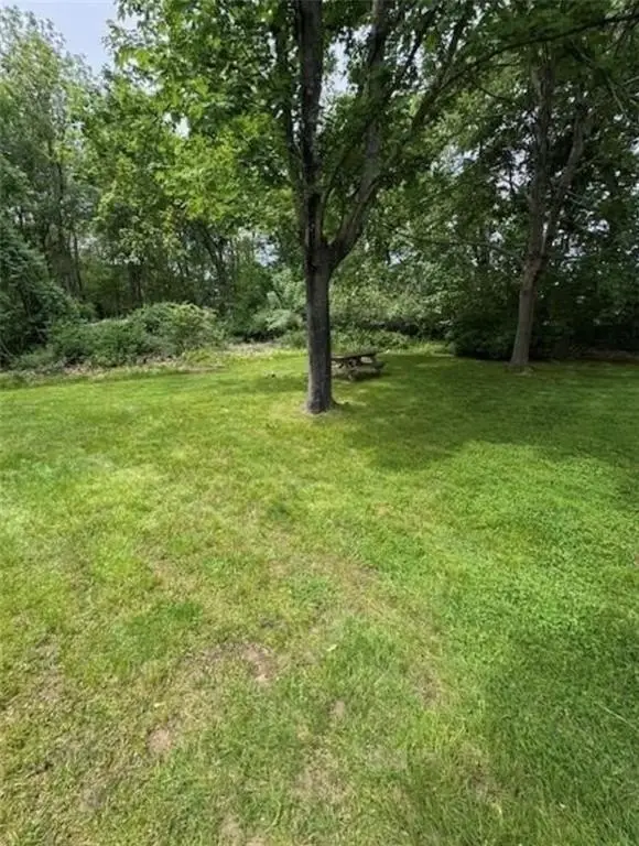 Picture 28