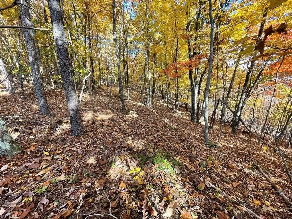 Picture 16
