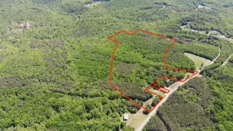 Wooded Land with Trails