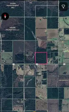 40 Acre Timber Tract