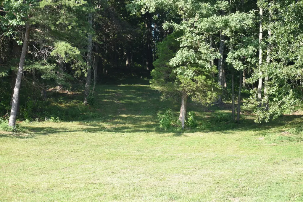 Picture 2