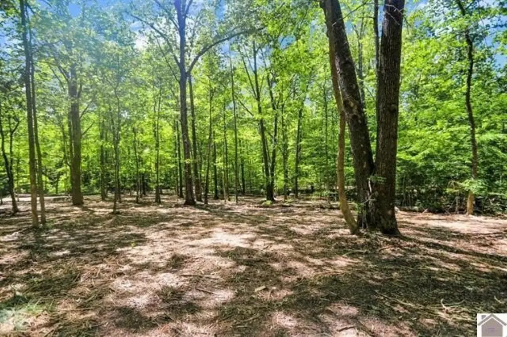 Picture 28