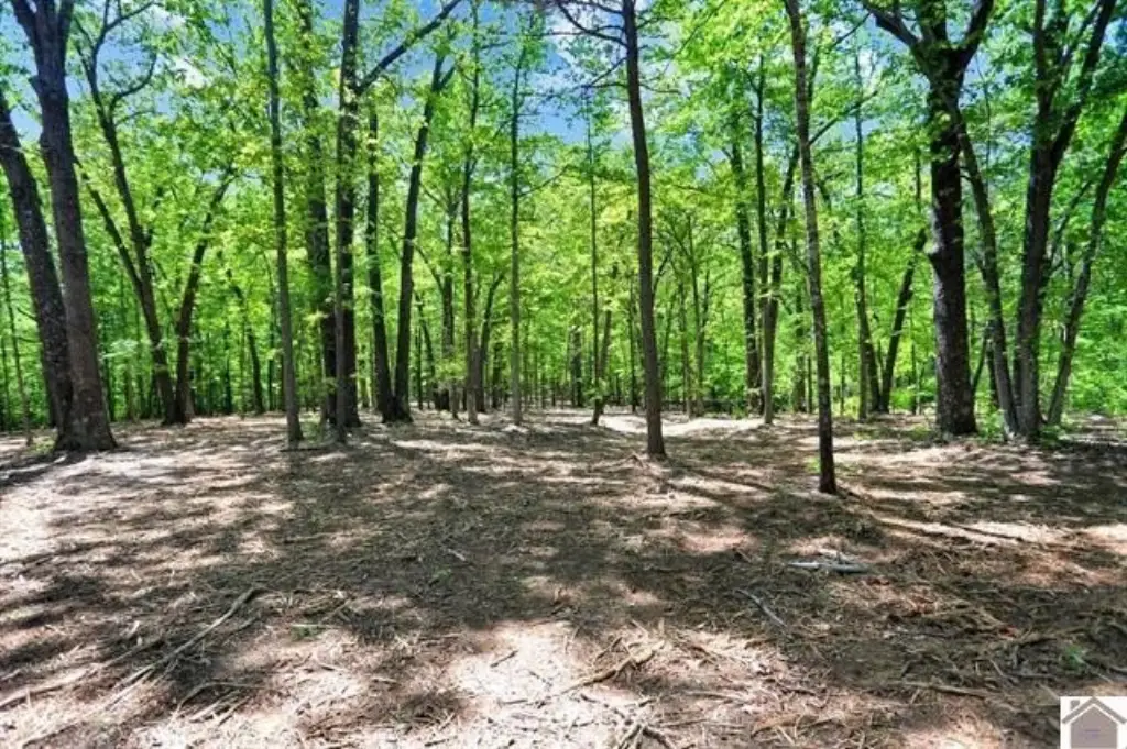 Picture 40