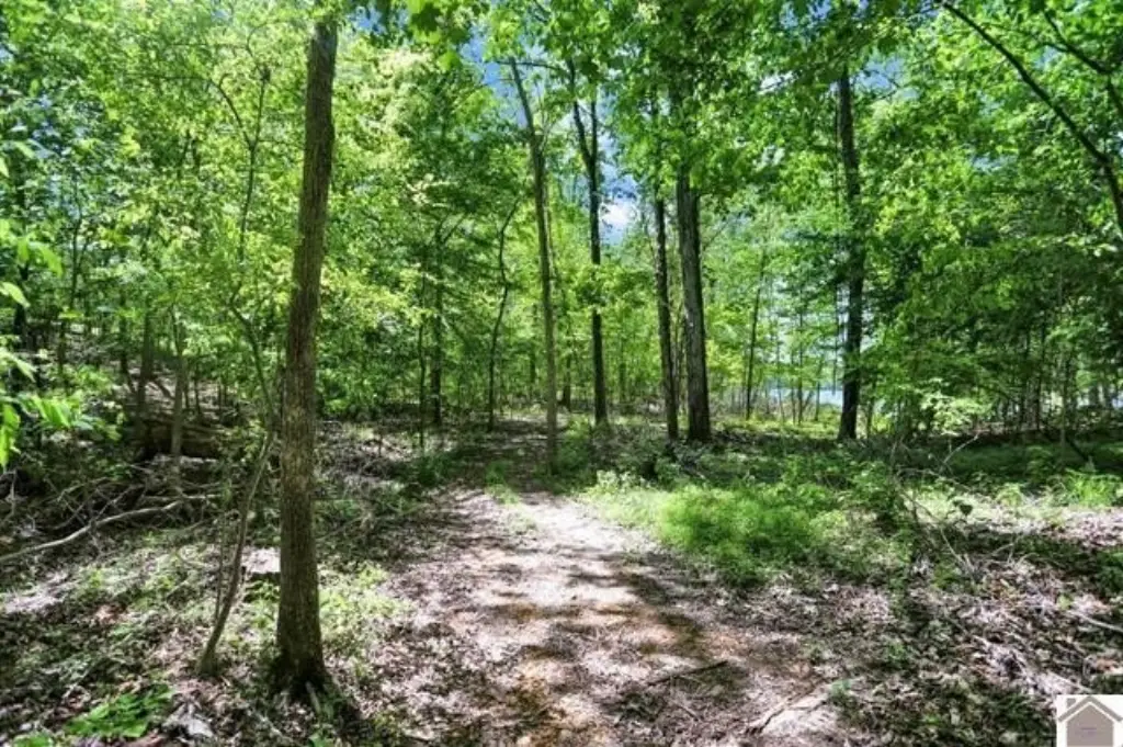 Picture 31