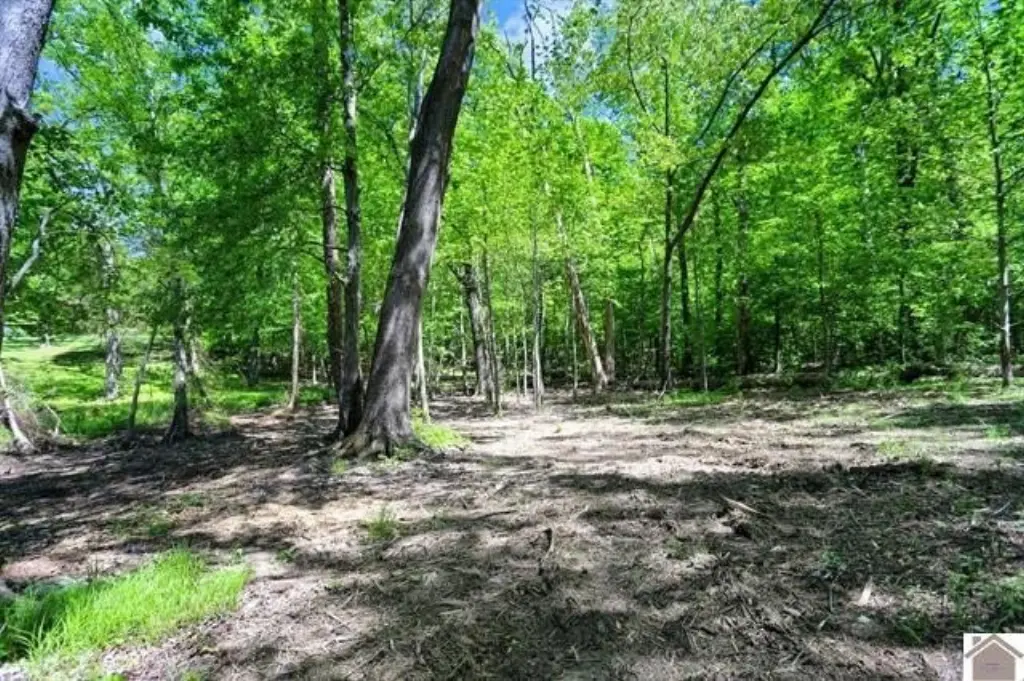 Picture 33