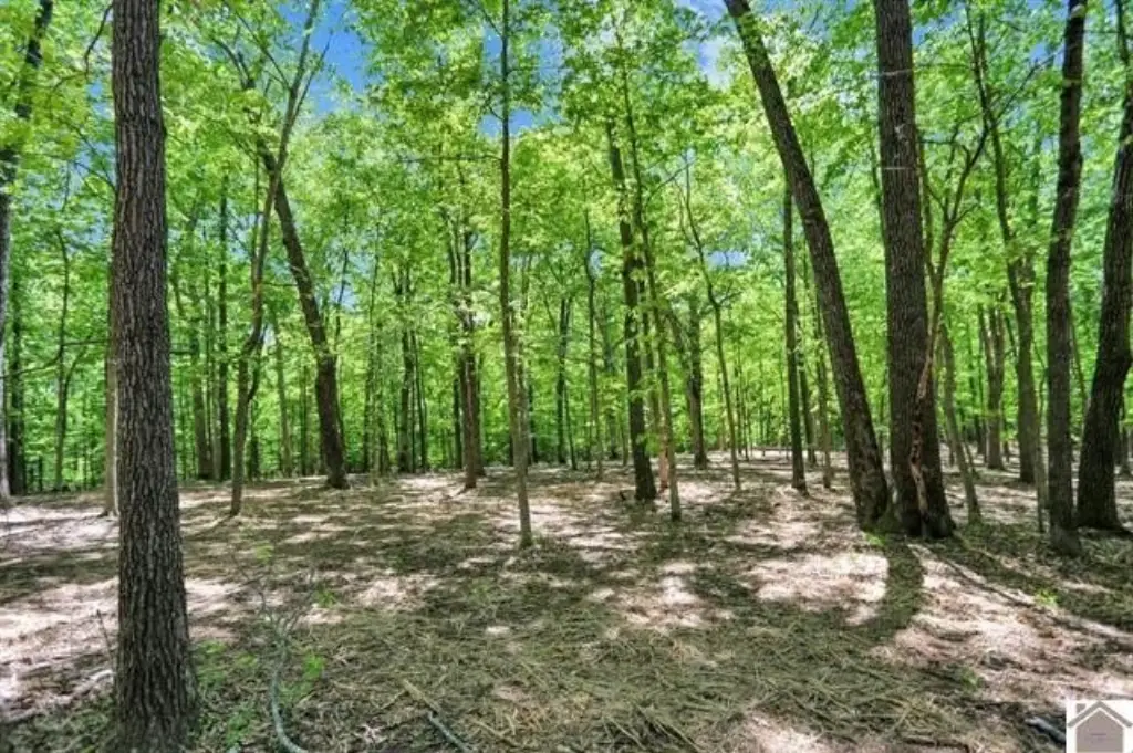 Picture 38