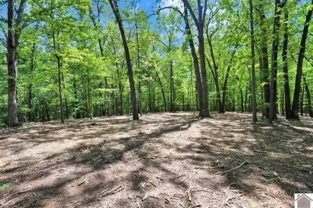 Picture 41