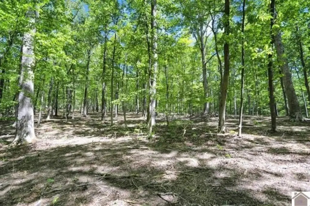 Picture 36
