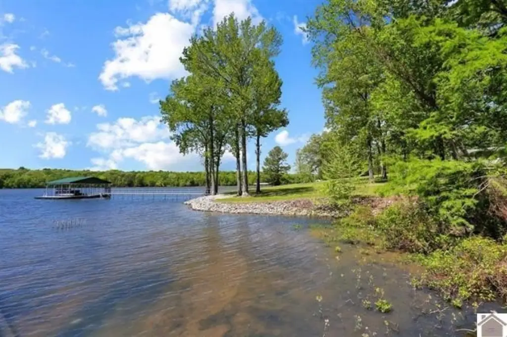 Picture 8