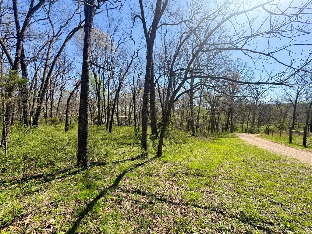 Picture 5
