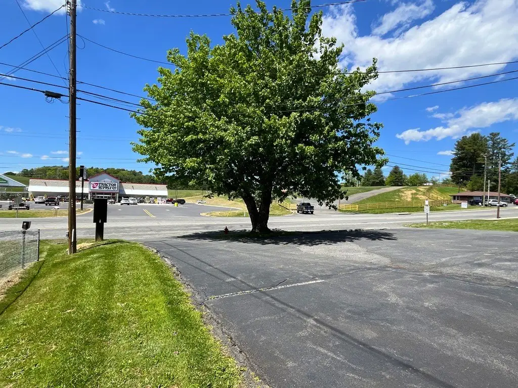 Picture 9