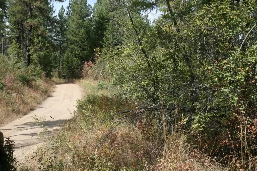 Picture 5