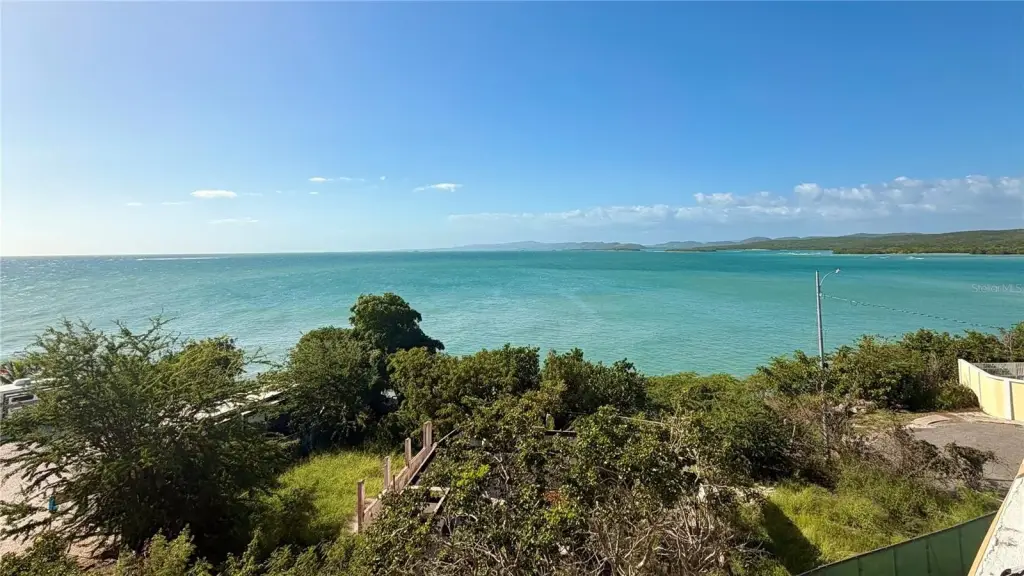 Picture 6