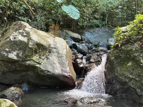 Land with Creek and Cascades