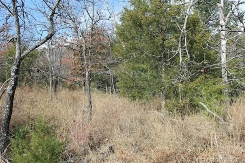 Picture 4