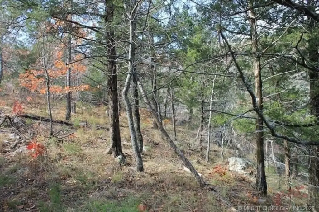 Picture 8