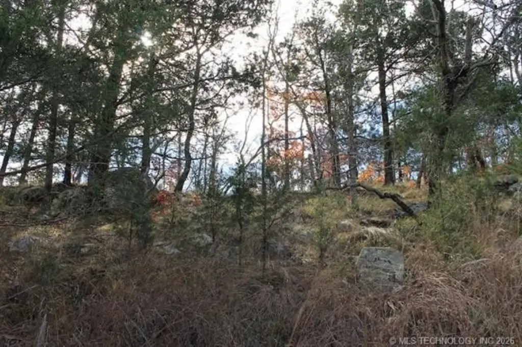 Picture 14