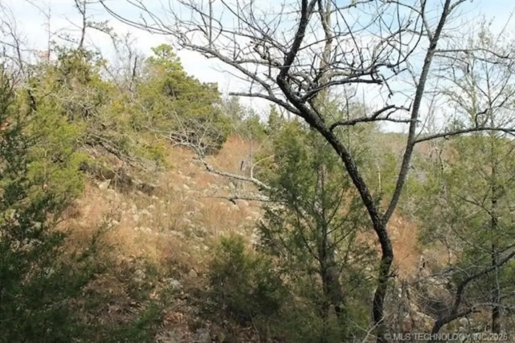 Picture 11