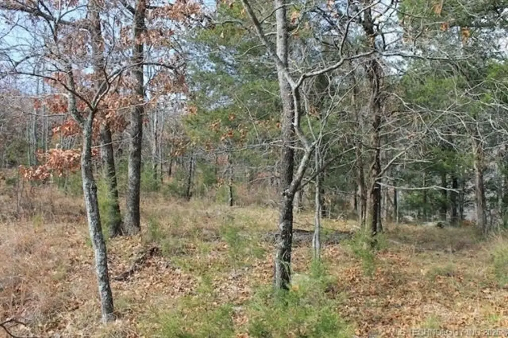 Picture 7