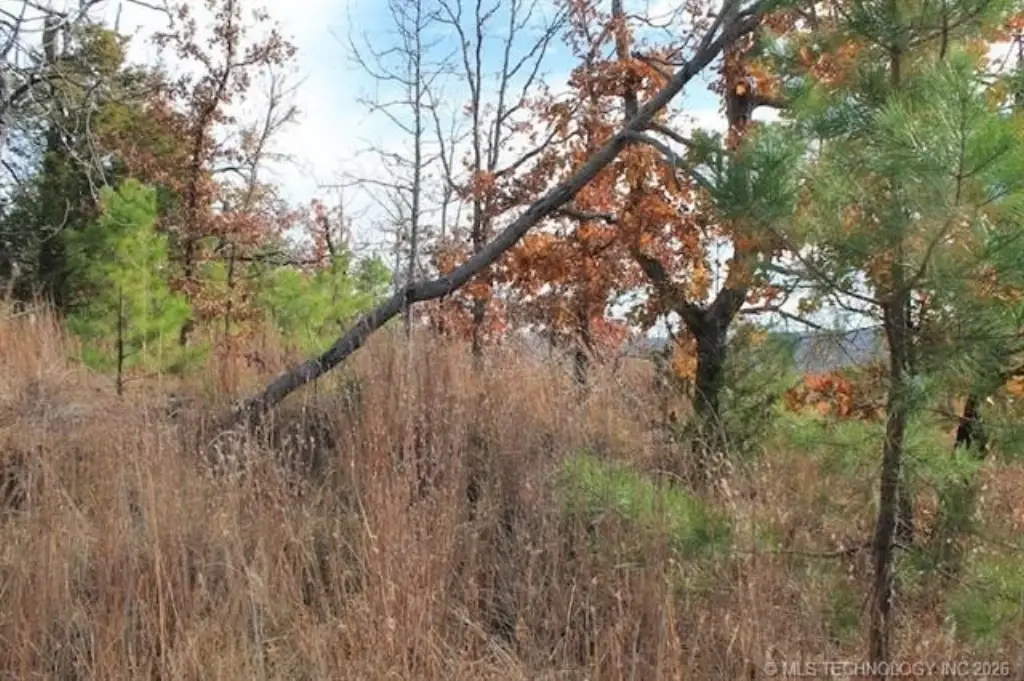 Picture 6