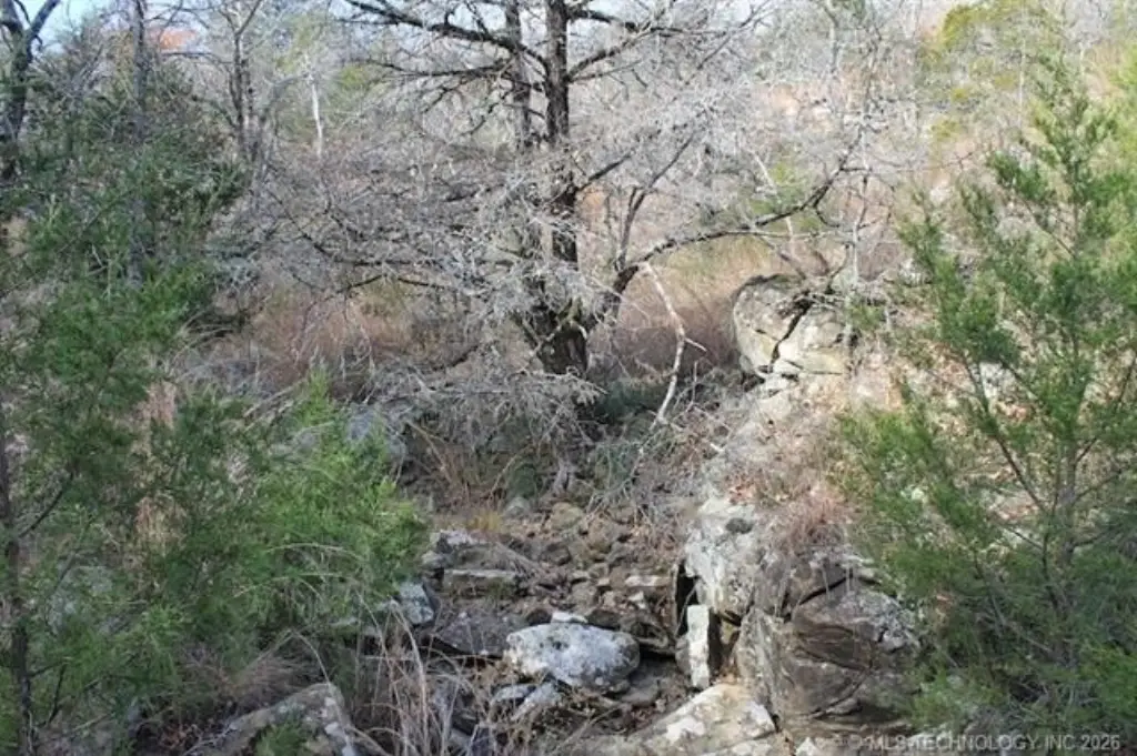 Picture 10