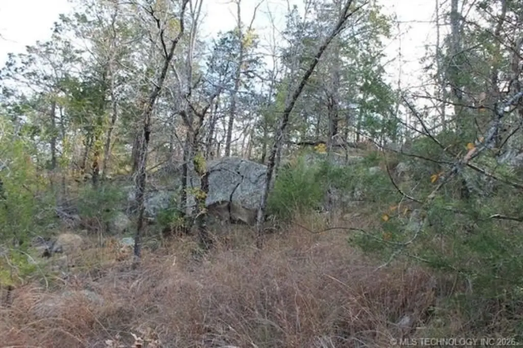 Picture 12