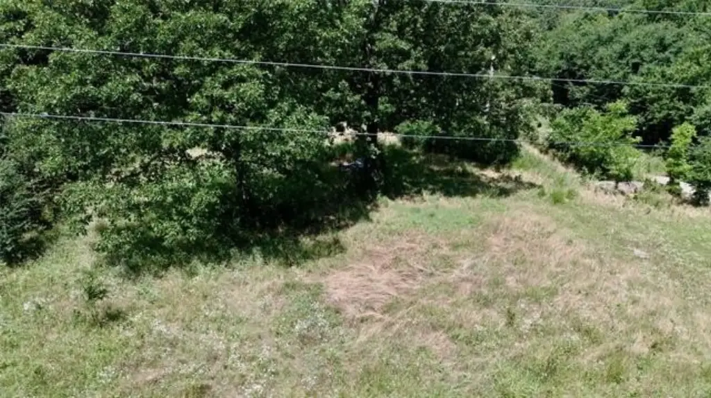 Picture 19
