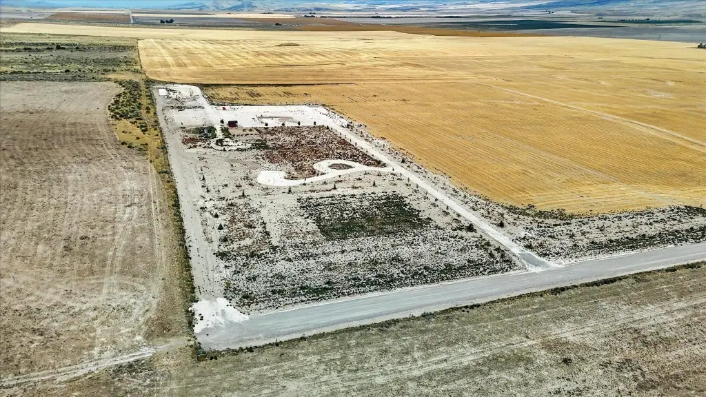 Picture 4