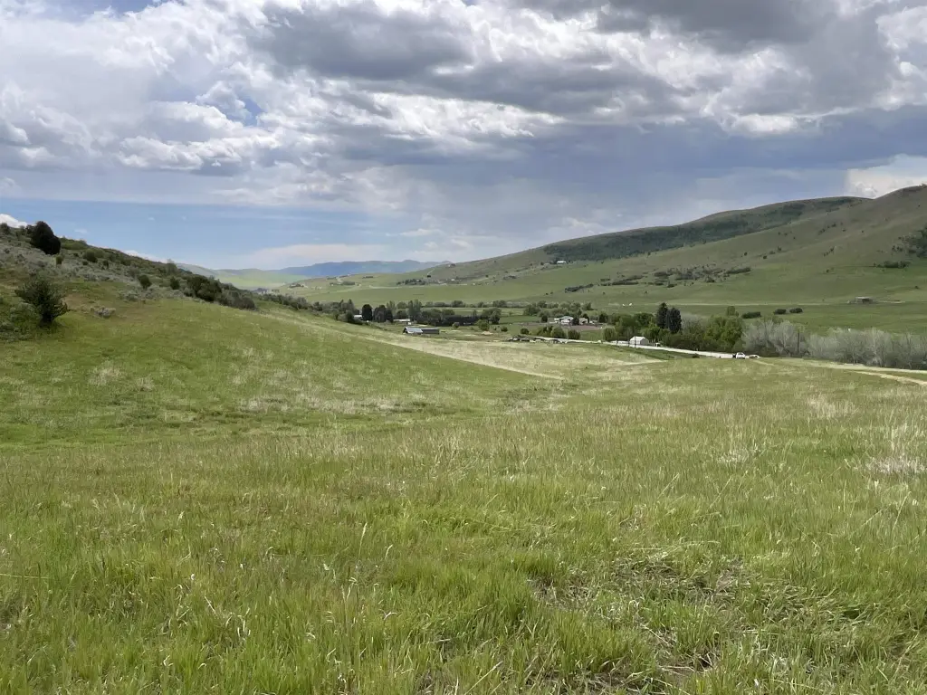 Picture 25