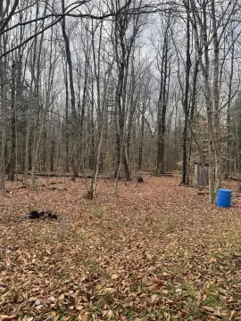 54+ Acres Hunting Land