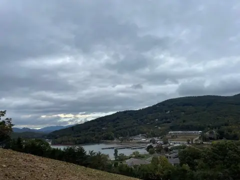 Unrestricted Land in Young Harris