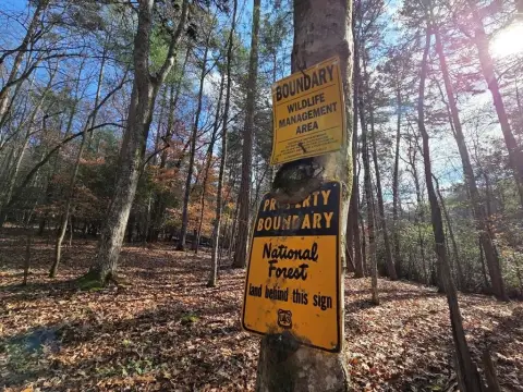 Suches, GA Vacant Lot