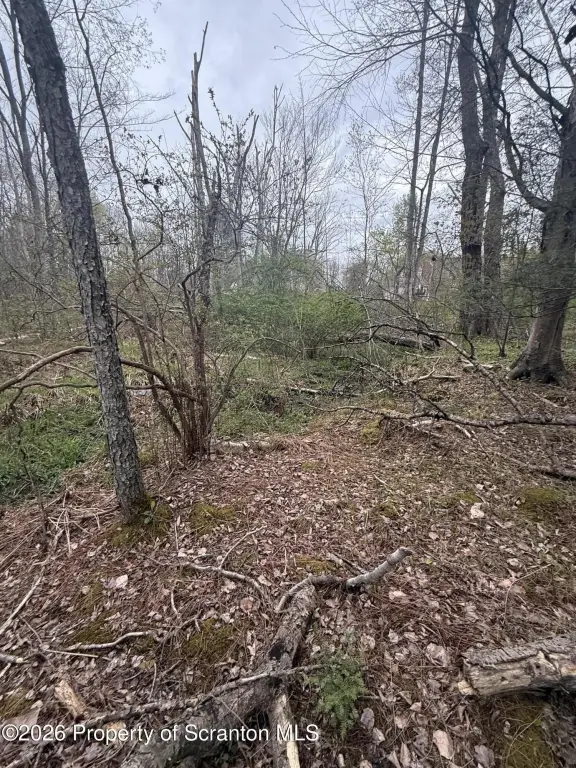 Picture 10
