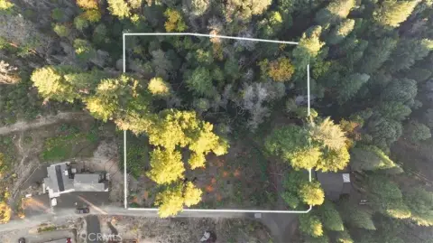 Acre Lot in Lake Madrone