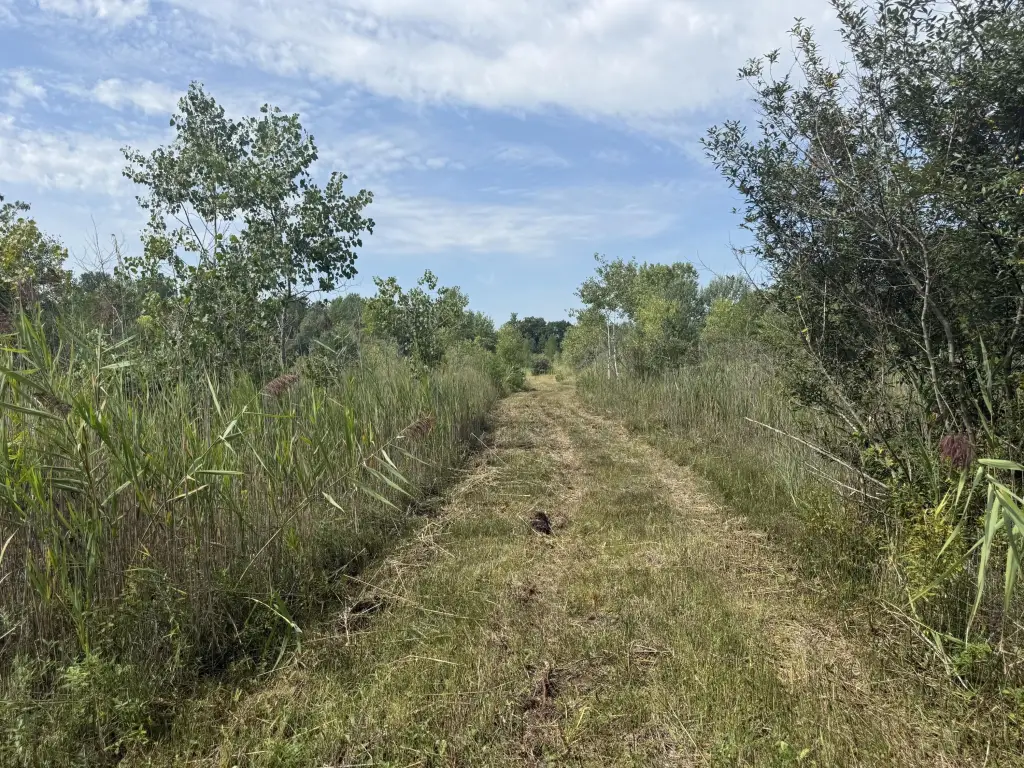 Picture 16
