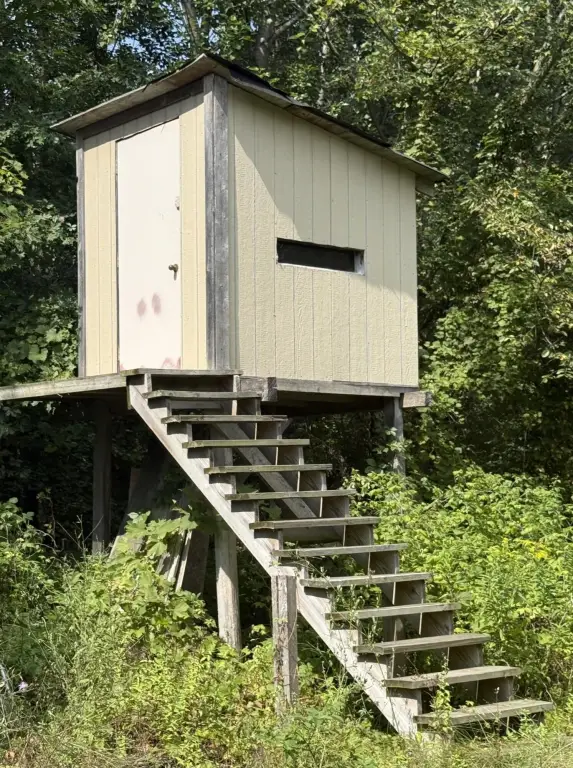 Picture 18