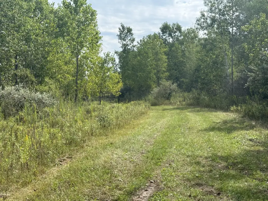 Picture 17