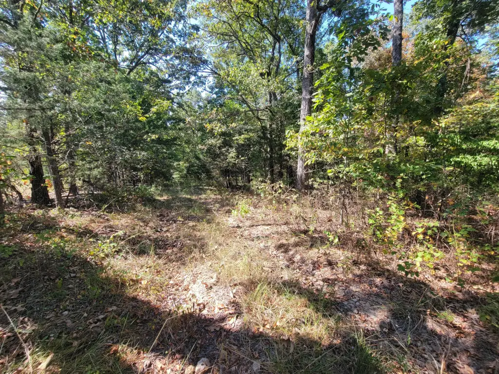 Picture 23