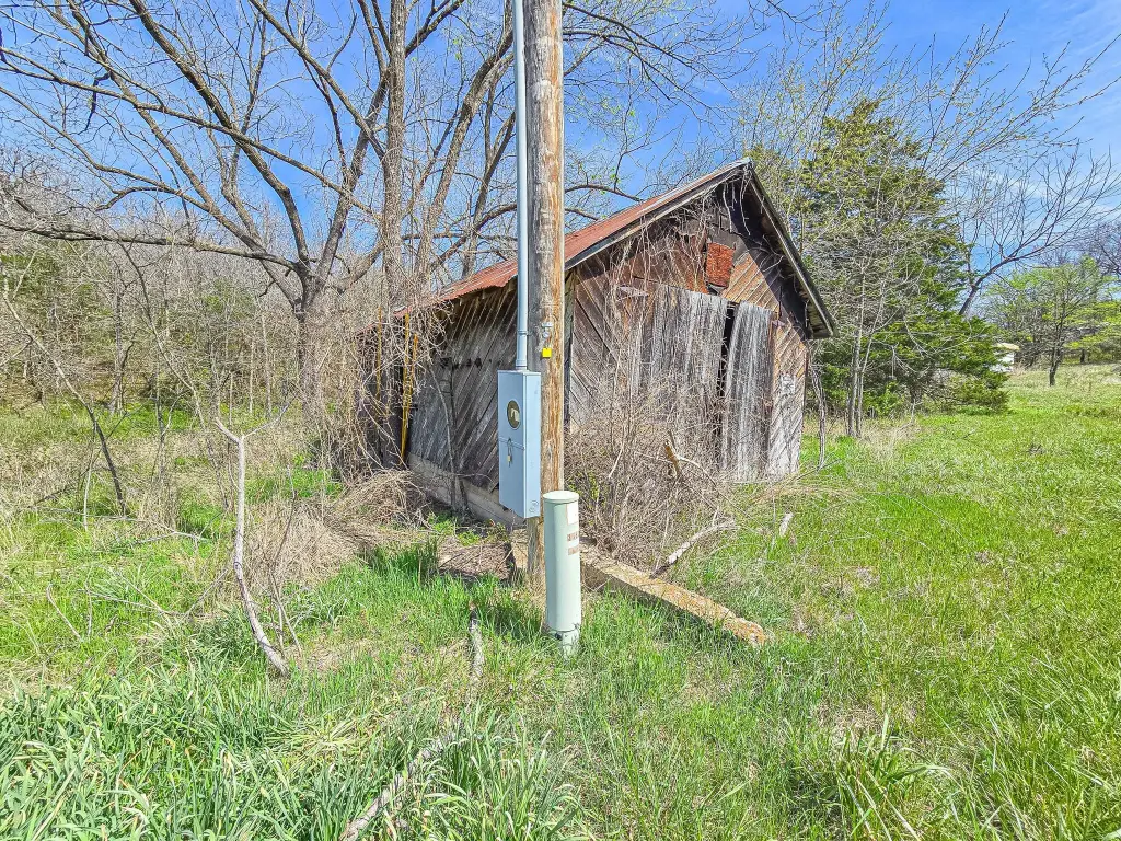 Picture 5