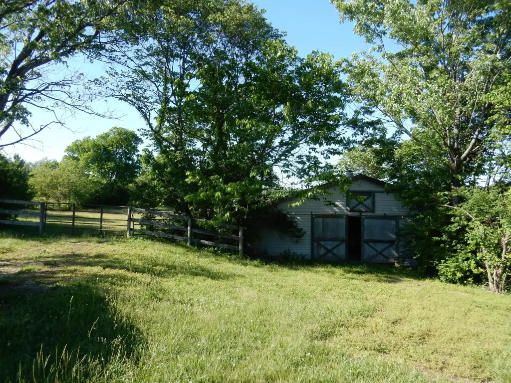 Picture 2