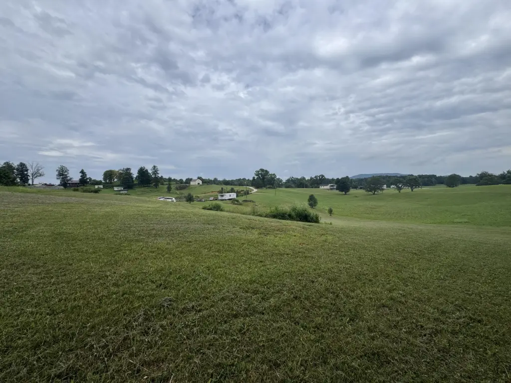 Picture 16