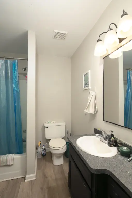 Picture 11