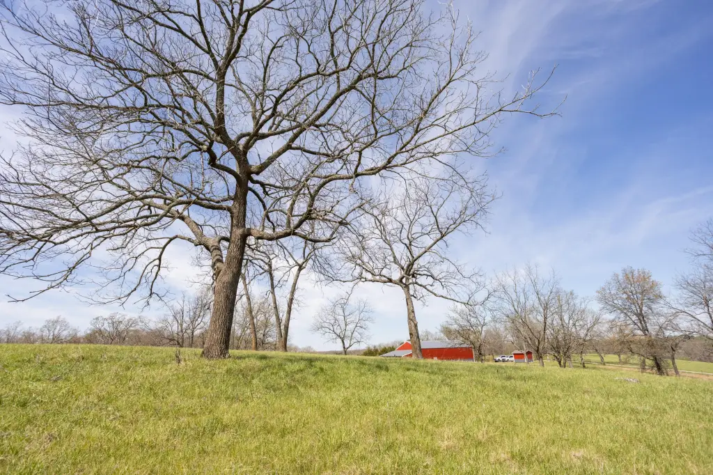 Picture 68