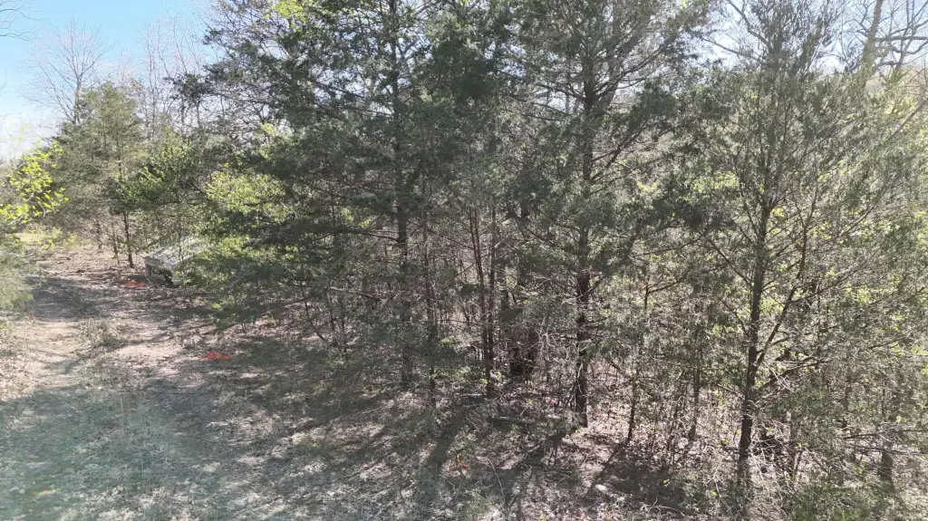 Picture 5
