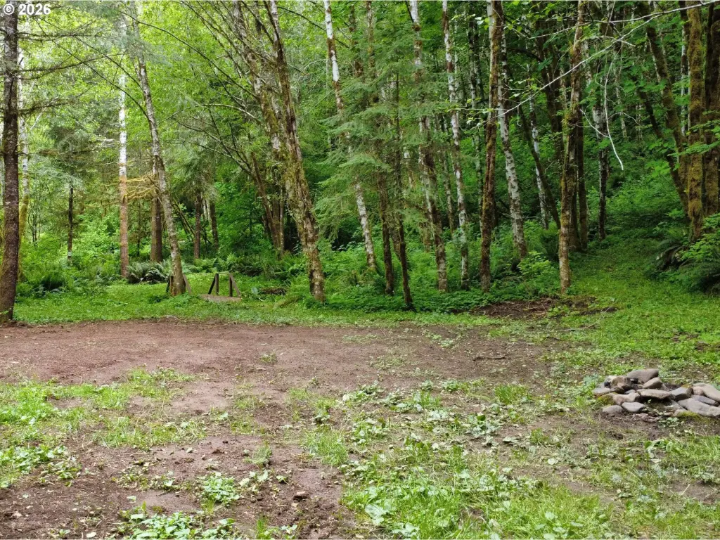 Picture 25